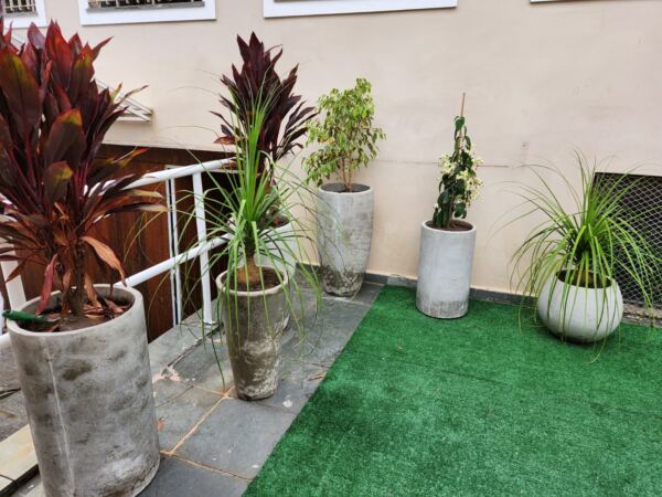 WhatsApp Image 2025 11 03 at 11.40.57 - Booking-Senior.com