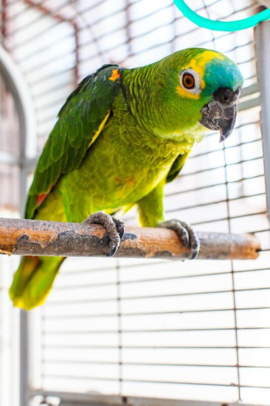 WhatsApp Image 2025 11 04 at 16.20.31 1 - Booking-Senior.com