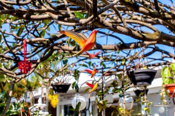 WhatsApp Image 2025 11 04 at 16.20.31 14 - Booking-Senior.com