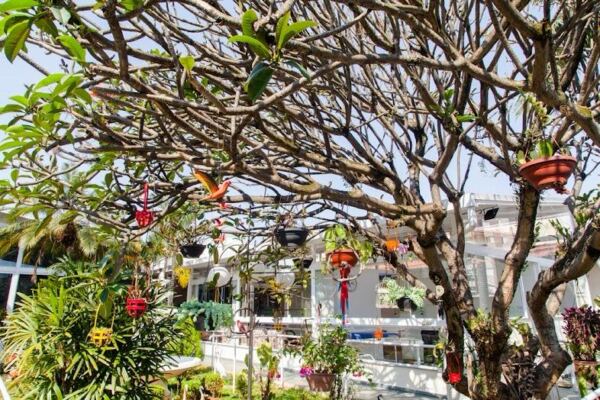 WhatsApp Image 2025 11 04 at 16.20.31 21 - Booking-Senior.com