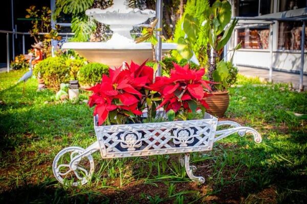 WhatsApp Image 2025 11 04 at 16.20.31 5 - Booking-Senior.com