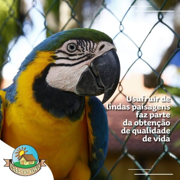 casadovovobsb 153143542 1710984229083560 3614604025305243524 n - Booking-Senior.com