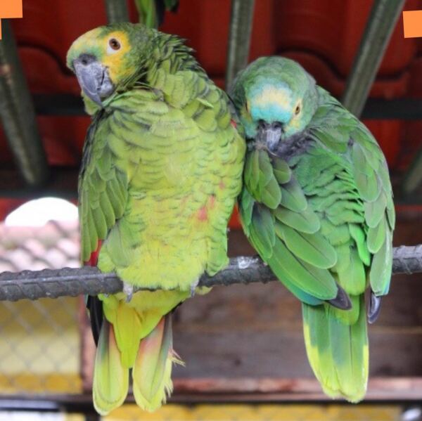 casadovovobsb 278180559 354722170052063 4131720103091312438 n 1 - Booking-Senior.com