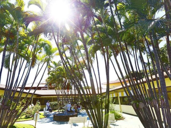 casadovovobsb 46635531 156285865331254 818748953434500945 n - Booking-Senior.com