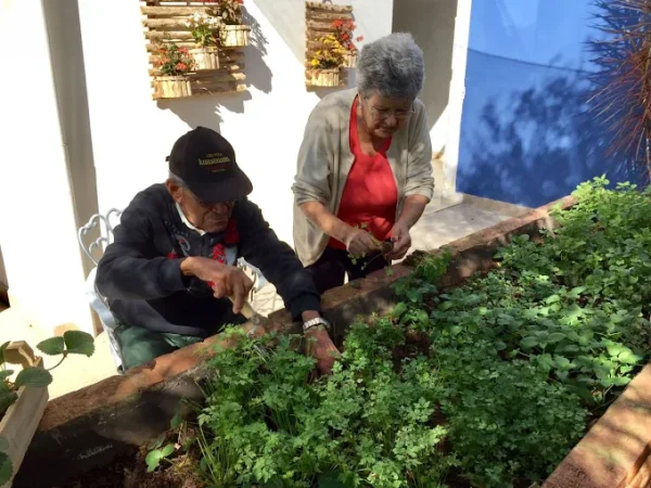 horta3 - Booking-Senior.com